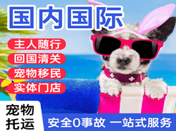 昌都邦达空运国际宠物托运 【国